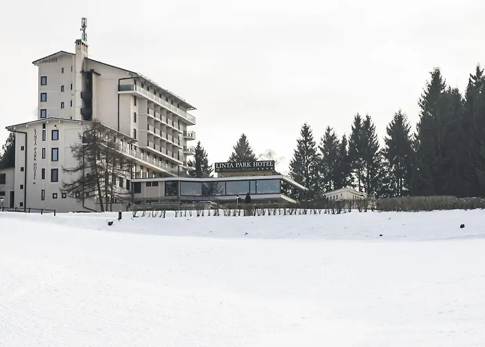 Hotel Linta Wellness & 4*