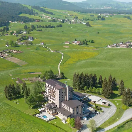 Linta Wellness &