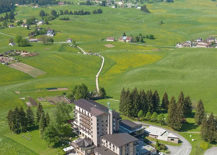 Linta Wellness &
