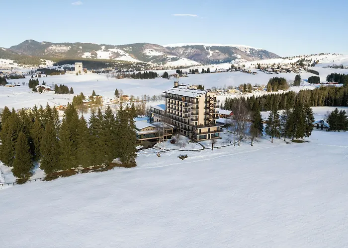 Linta Wellness & 4*